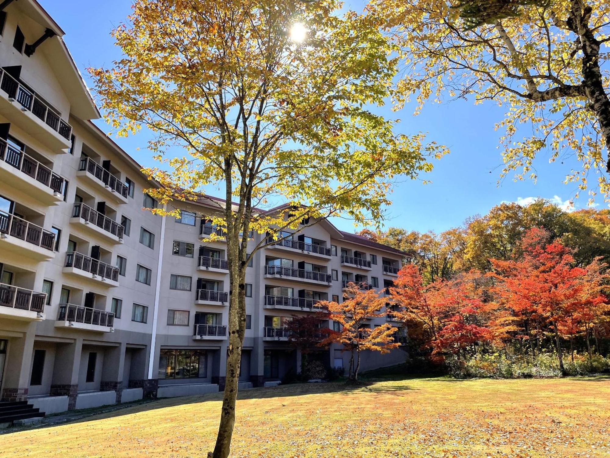 Hakuba Tokyu Hotel Наґано Екстер'єр фото