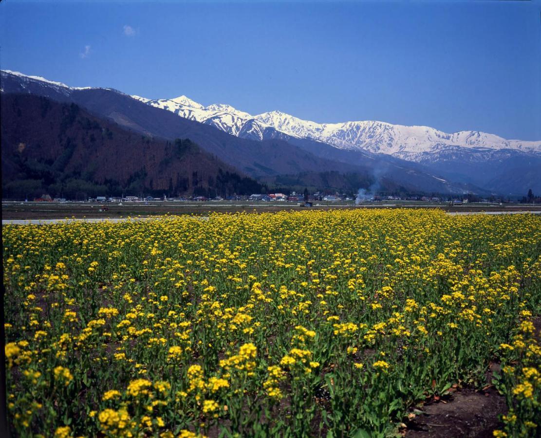 Hakuba Tokyu Hotel Наґано Екстер'єр фото